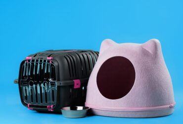linha-pet-2